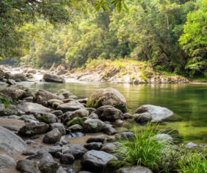 From Water to Stone Grieving Ritual