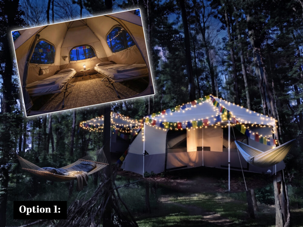 Rewilding Retreat Accommodation Option 1