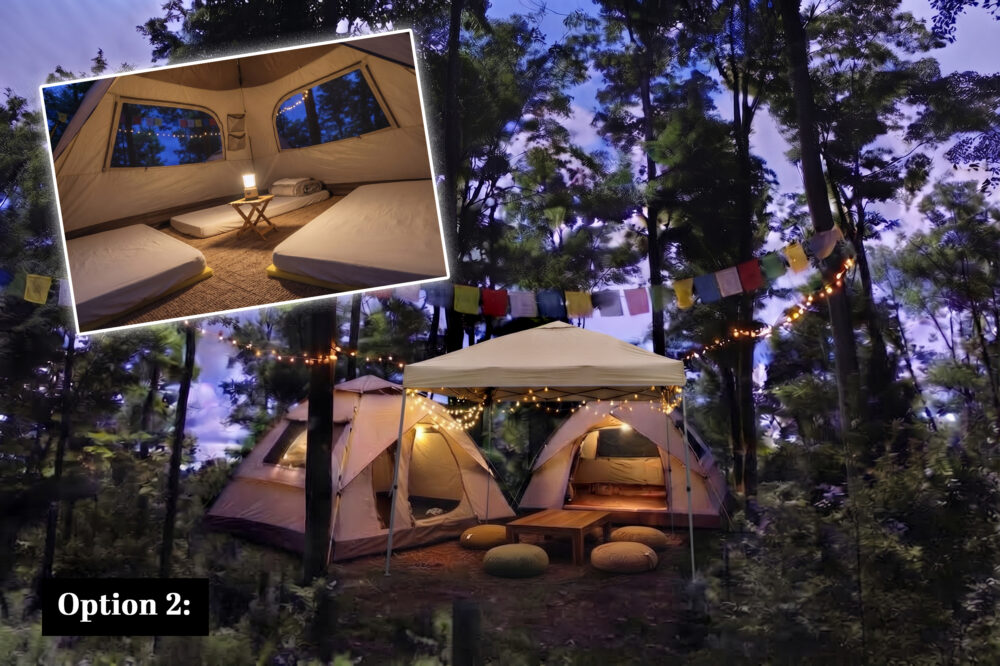 Rewilding Retreat Accommodation Option 2
